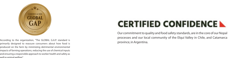 cerficaiciones inglés